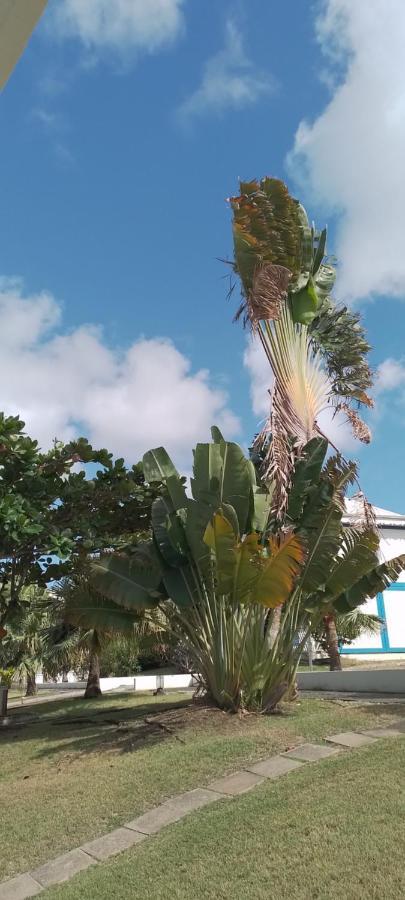 Karibbean Sweet Home سانت فرانسوا المظهر الخارجي الصورة